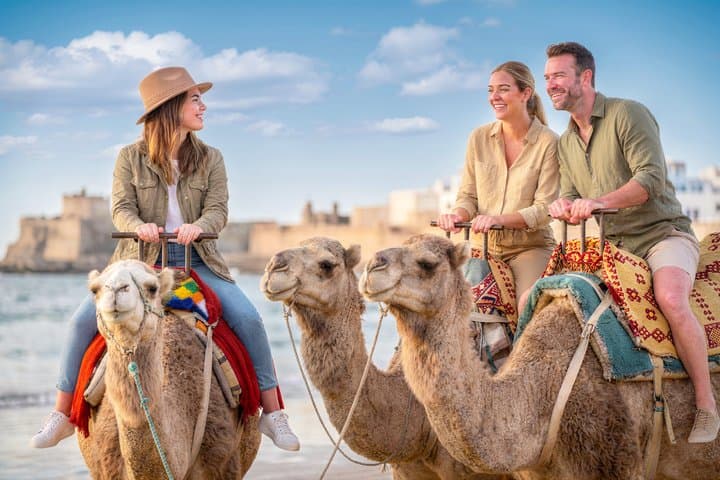 Hunter Valley Winery, Port Stephens Sandboard or Camel Rides Tour