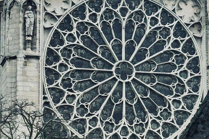 Paris Notre Dame Cathedral and Louvre Museum Indoor Guided Tour