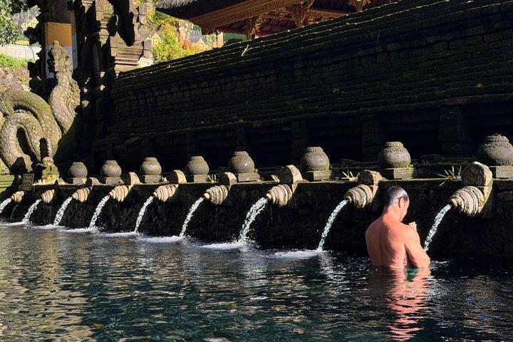Ubud Hot Springs and Waterfall Private Guided Tour