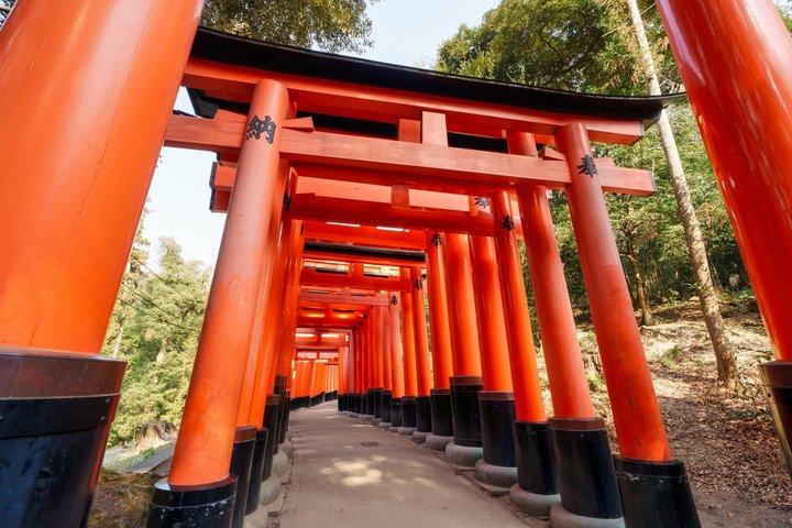 Kyoto Private Day Trip from Osaka