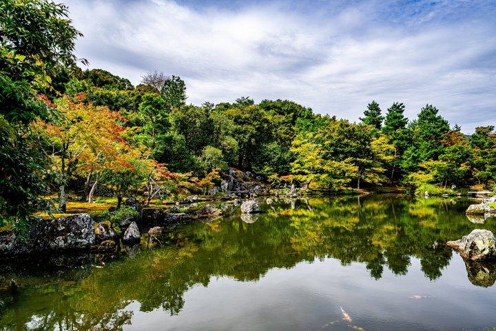 Kyoto Private Day Trip from Osaka