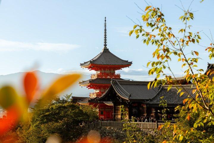 Kyoto Private Day Trip from Osaka