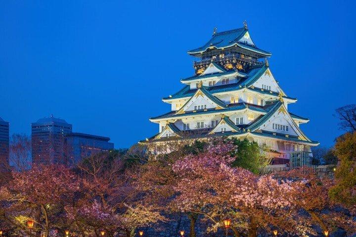 Osaka Private Night Tour