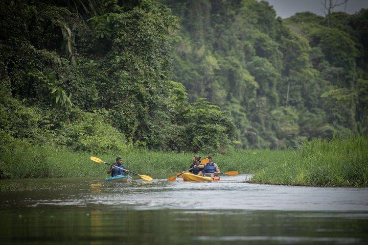 Kayak Tour in Tortuguero Canals with Tourist Guide