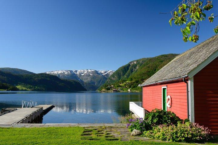 Private Shore Tour: Ulvik Nature Walk & Osa Fjord Viewpoint