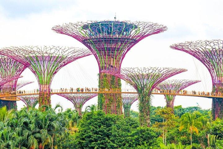 Singapore Gardens by the Bay Flower Dome Cloud Forest