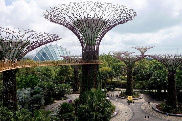 Singapore Gardens by the Bay Flower Dome Cloud Forest