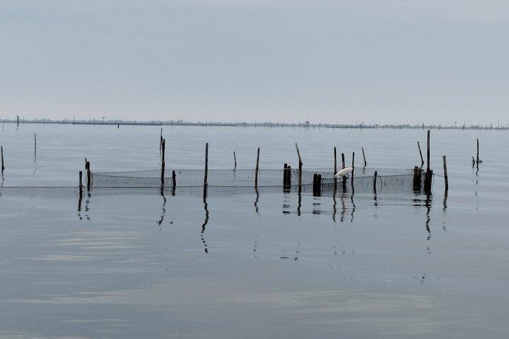 Explore Isola dell’Amore and wildlife on a Po Delta Boat Tour