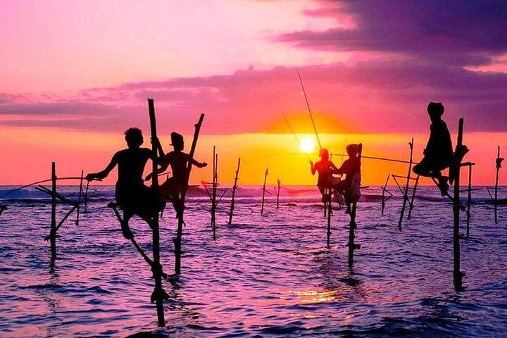 Private Galle Coastal Experience | Stilt Fishing & Local Life.