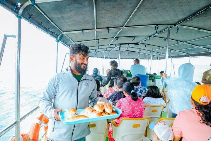 From Galle/Unawatua: All-Inclusive Whales & Dolphin Watching Tour