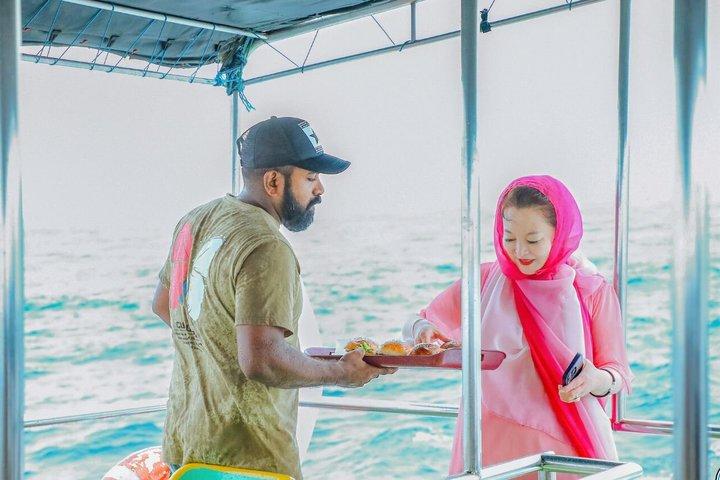 From Galle/Unawatua: All-Inclusive Whales & Dolphin Watching Tour