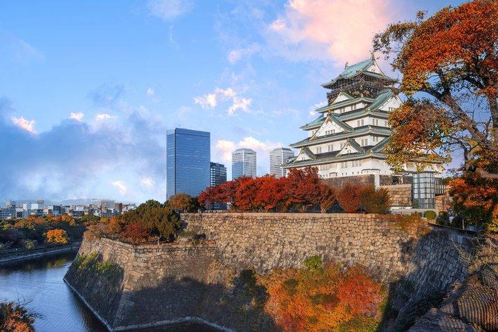 Osaka Private City Highlights Tour