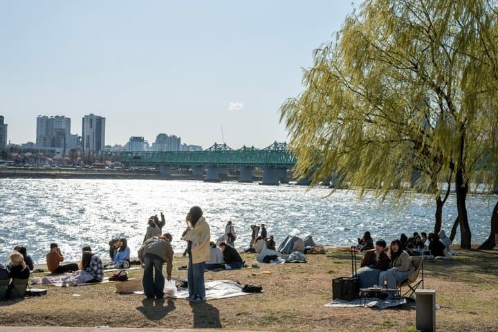 Best of Seoul Private Tour