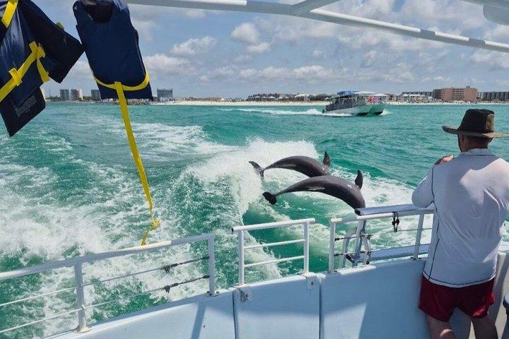 SeaQuest Daytime Dolphin Cruise in Destin