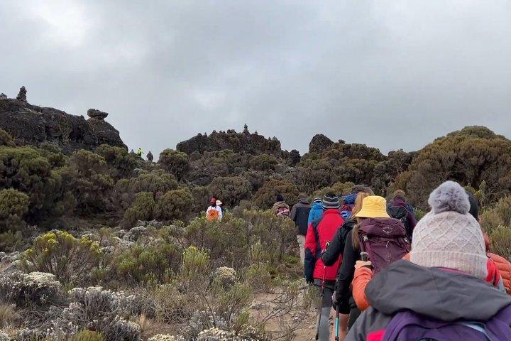 Kilimanjaro One Day Hike Tour Via Machame Route