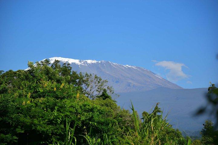 Kilimanjaro One Day Hike Tour Via Machame Route