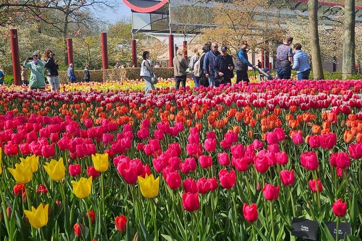 Keukenhof Tulip Tour Small Group Hidden Windmills and Delft