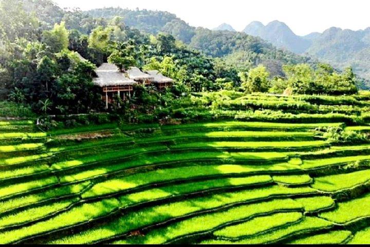 Mai Chau & Pu Luong 2 Days tour: Culture,Local Village Experience