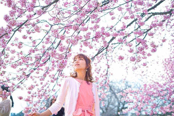 Eden Cherry Blossom and Nami Island Tour from Seoul