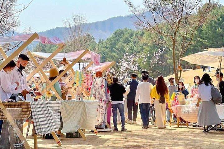 Eden Cherry Blossom and Nami Island Tour from Seoul