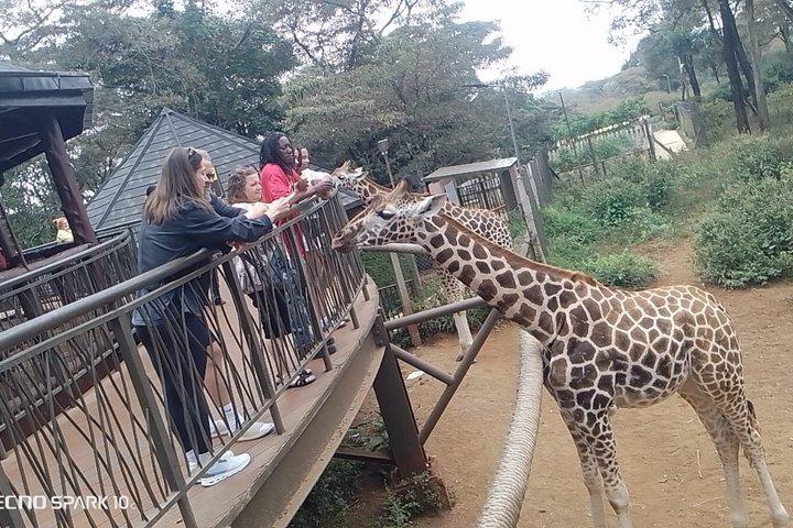 Giraffe Centre Kazuri Beads Maasai Collection Shopping Excursion
