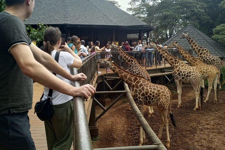 Giraffe Centre Kazuri Beads Maasai Collection Shopping Excursion