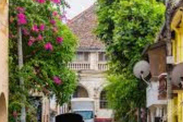 Galle & Bentota Day Tour from Negombo or Colombo