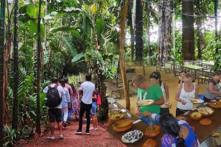 Dudhsagar Waterfalls Tour Jeep Safari and Spice Plantation Visit