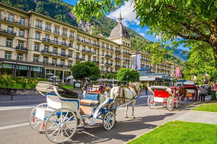 Private Day Trip from Basel to Lucerne and Interlaken