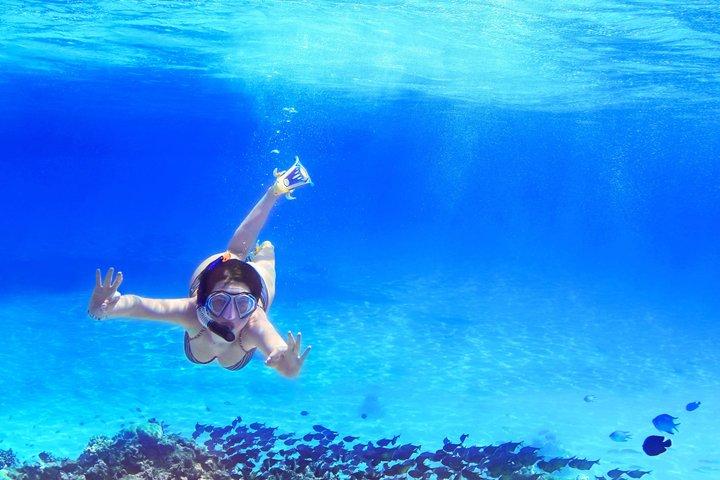 Positano and Amalfi Boat Tour from Salerno with Snorkel and Drink