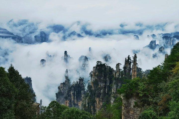 Zhangjiajie Forest Park 4 Day Pass and All You Can Ride Transfers