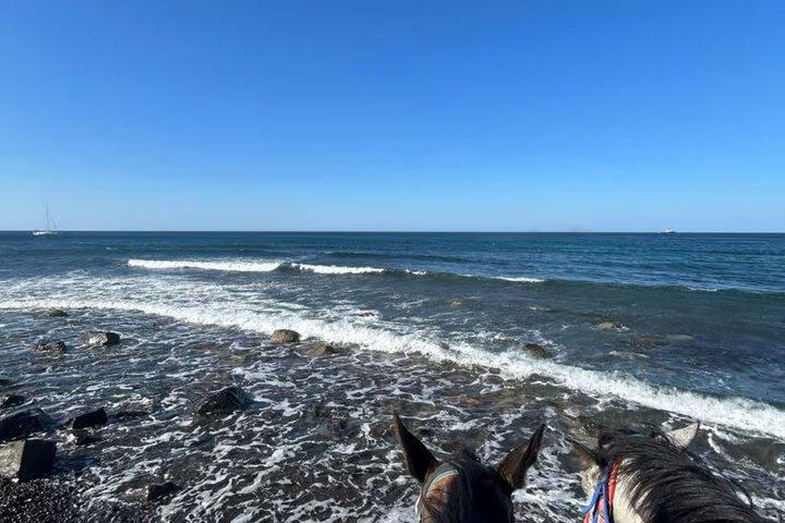 Santorini Family Horseback Adventure:Volcanic Trails & Beach Ride