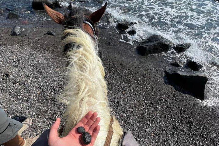 Santorini Family Horseback Adventure:Volcanic Trails & Beach Ride