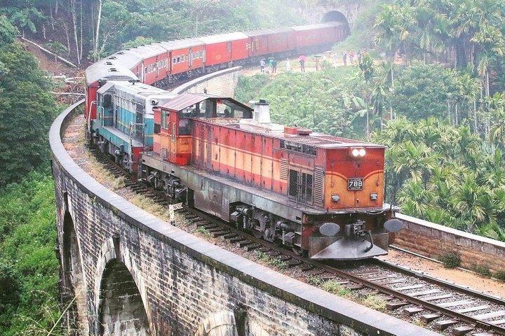 Ella Day Tour Sri lanka Nine Arch ,Train Ride & Little Adam Peak
