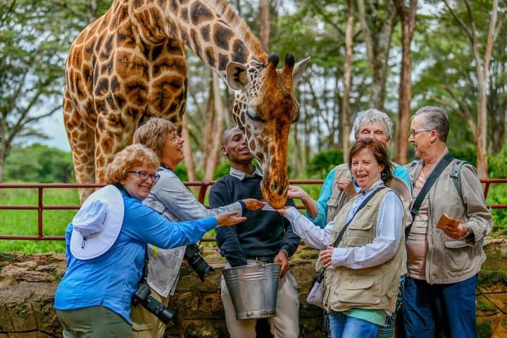 Safari Tour in Nairobi Wildlife