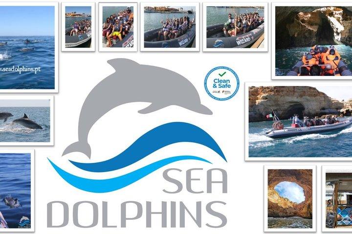 Dolphin Watching & Benagil Caves Boat Tour from Portimão
