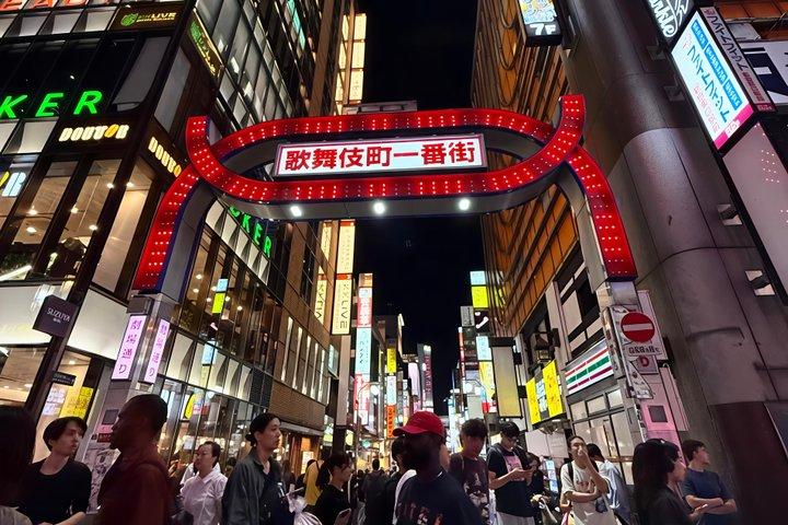 Tokyo Night Tour&Yakatabune Cruise,Sukiyaki,Shamisen&Tokyo Tower