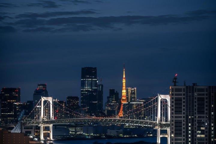 Tokyo Night Tour&Yakatabune Cruise,Sukiyaki,Shamisen&Tokyo Tower