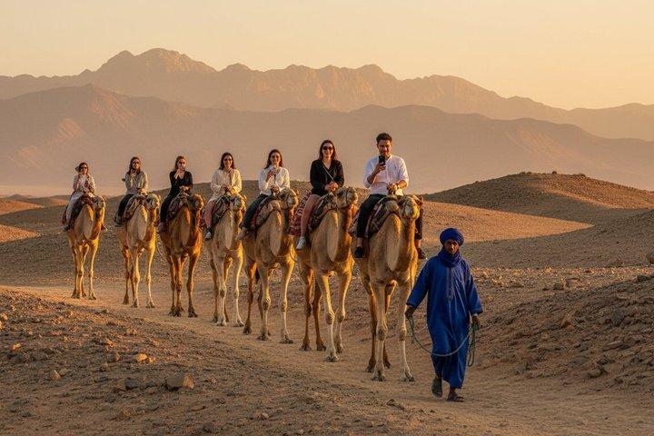 Agafay Desert Quad Bike, Camel Ride & Dinner Show from Marrakech