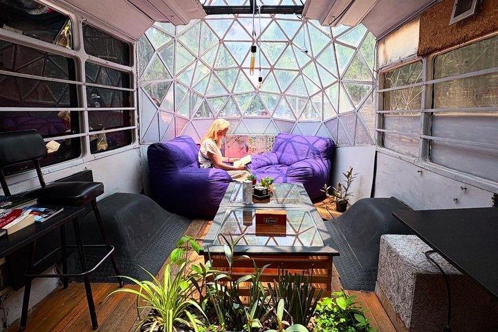 The hidden gems of Roma and Condesa Neighborhoods Walking tour