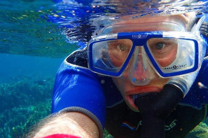 Miami Snorkeling Adventure off a Secluded Island from South Beach
