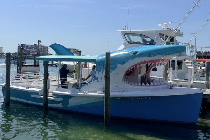 Shark Boat Destin Dolphin Watch and Sunset Cruise
