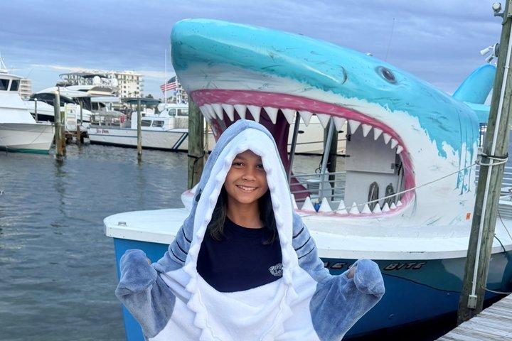 Shark Boat Destin Dolphin Watch and Sunset Cruise