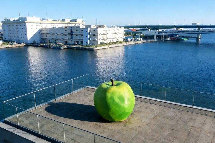 Tadao Ando's Architectural Aesthetics Journey in Kansai
