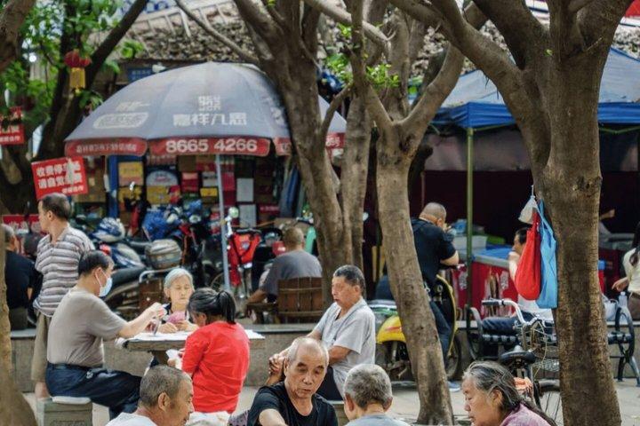 Free Walking Tour in Chengdu, Experience the city like a Local