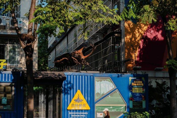 Free Walking Tour in Chengdu, Experience the city like a Local