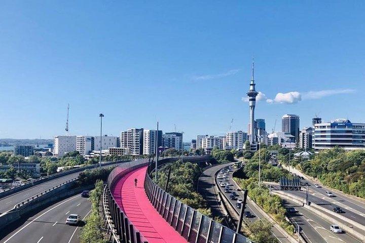 Private Driver For 3 Days From Auckland - Flexible Custom Tour