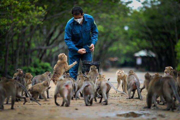 HCM: UNESCO Listed Can Gio Mangrove and Monkey Island trek