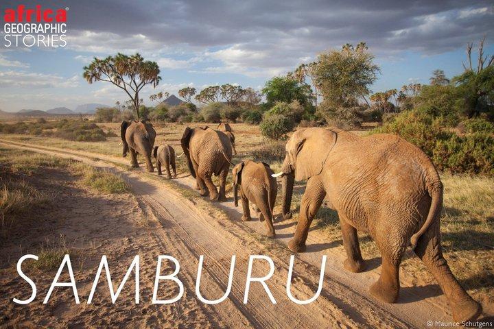 8 Days Samburu Sweetwaters and Maasai Mara Mid Range Safari