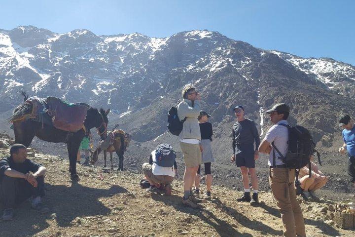 Atlas Mountains Day Trip from Marrakech with Berber Village Hike